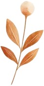 a white flower with a stem and leaves.jpg